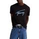 TOMMY HILFIGER TJM REG RWB SIGNATURE TEE DM0DM21109 1