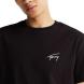 TOMMY HILFIGER TJM REG SIGNATURE TEE EXT DM0DM21140 3
