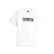 TOMMY HILFIGER TJM REG TOMMY DNA FLAG TEE EXT DM0DM21941 4