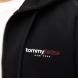 TOMMY HILFIGER TJM REG DNA BACKPRINT FZ HD DM0DM23404 3