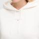 TOMMY HILFIGER TJW REG LINEAR HOODIE EXT DW0DW21963 3