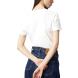 CALVIN KLEIN MONOLOGO SLIM TEE J20J223563 2