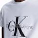 CALVIN KLEIN CORE MONOGRAM SLIM TEE J30J320935 2