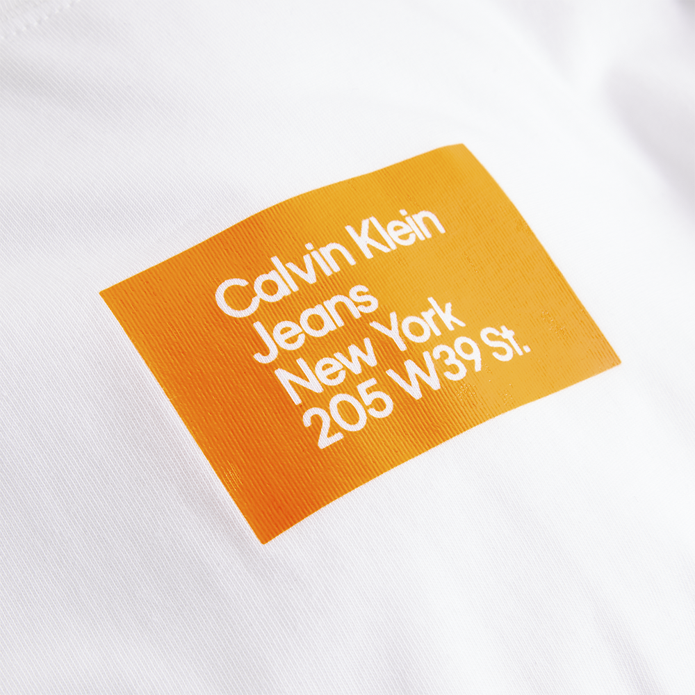 CALVIN KLEIN COLORED ADDRESS SMALL BOX TEE J30J322879 3
