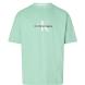 CALVIN KLEIN MONOLOGO OVERSIZED TEE J30J323307 1