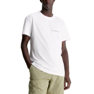 CALVIN KLEIN INSTITUTIONAL TEE J30J324671