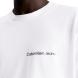 CALVIN KLEIN INSTITUTIONAL TEE J30J324671 3