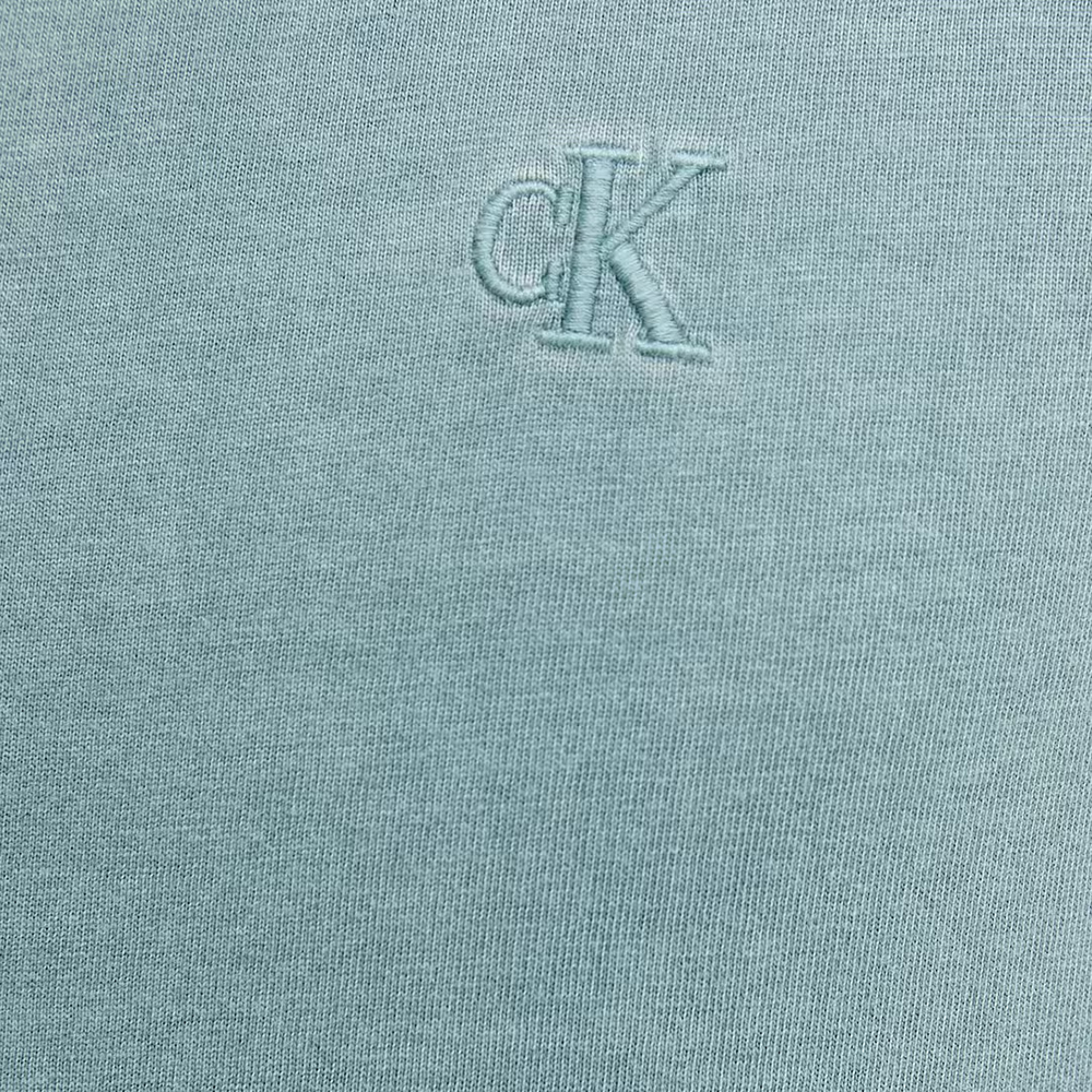 CALVIN KLEIN BOLD WASHED CK APPLIQUE TEE J30J327488 3
