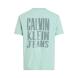 CALVIN KLEIN PAINTED CALVIN KLEIN JEANS TEE J30J327523 3