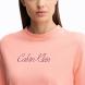 CALVIN KLEIN SS 20s CLASSIC LOGO TEE  LV047C854G 3