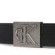 CALVIN KLEIN SSNL MONO PLAQUE 40MM LV04D7111G 3