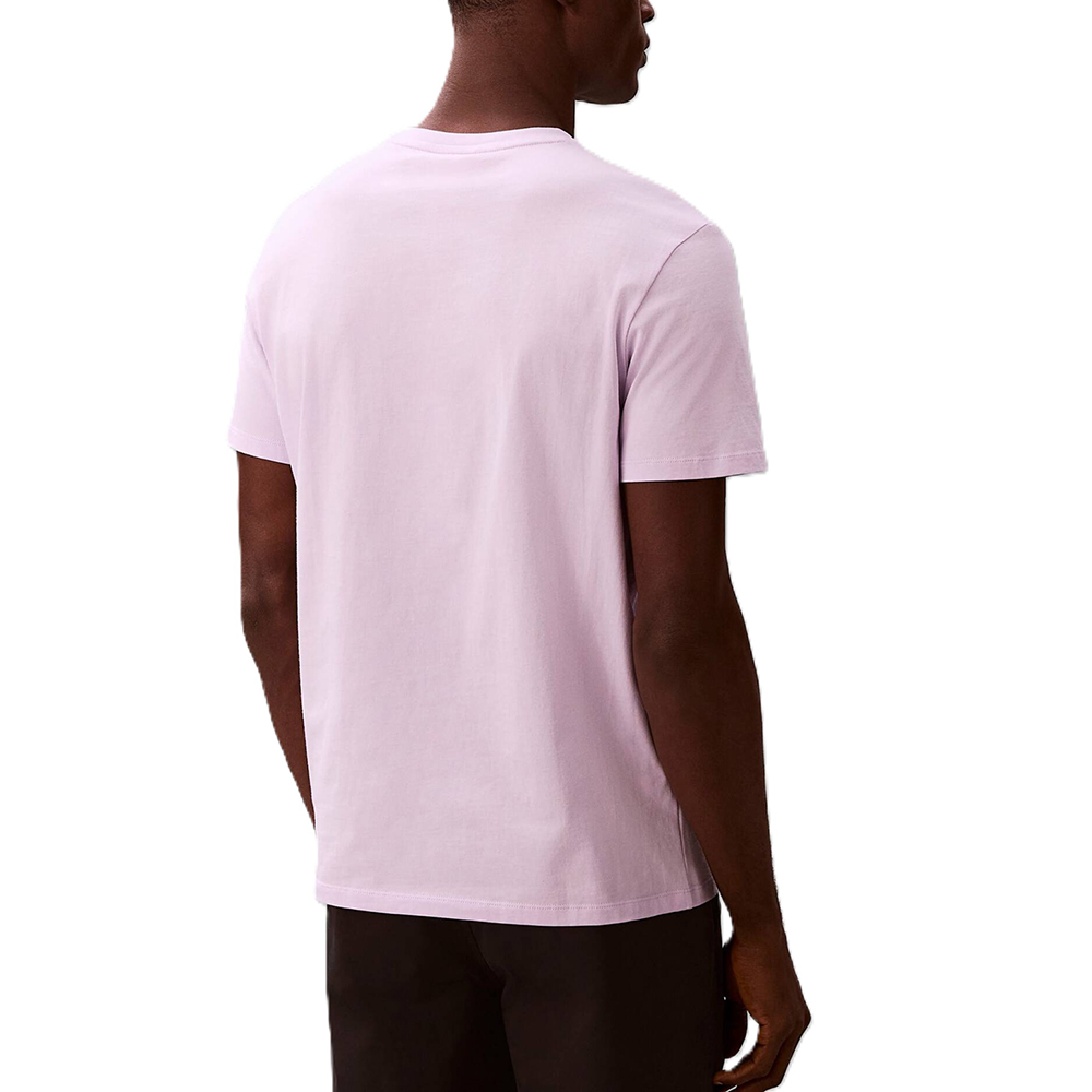 CALVIN KLEIN SS MICRO LOGO CREWNECK TEE LV04LC255G 2