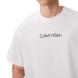 CALVIN KLEIN SS STANDARD LOGO 30S CREWNK TE LV04LD230G 2