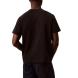 CALVIN KLEIN SS 20s EU SPW HD SHIN STNDRD G LV04LG812G 2