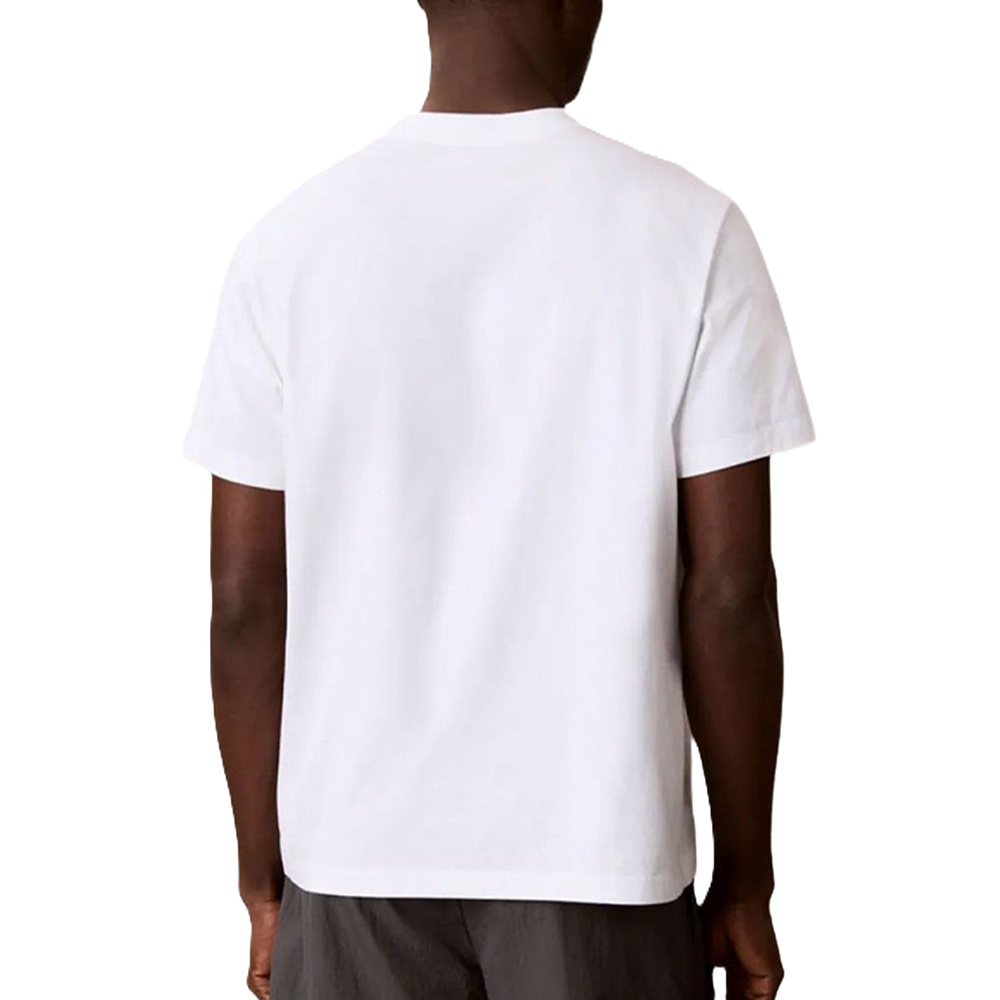 CALVIN KLEIN SS 20s EU SPW HD SHIN STNDRD G LV04LG812G 2