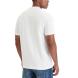 CALVIN KLEIN A- SS REGULAR INSTITUTIONAL LO LV04RAB810 2