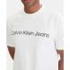 CALVIN KLEIN A- SS REGULAR INSTITUTIONAL LO LV04RAB810 3