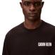 CALVIN KLEIN SS 16S RLX VERT LOGO CN TEE LV04RB851G 3