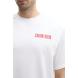 CALVIN KLEIN SS 16S RLX VERT LOGO CN TEE LV04RB851G 3