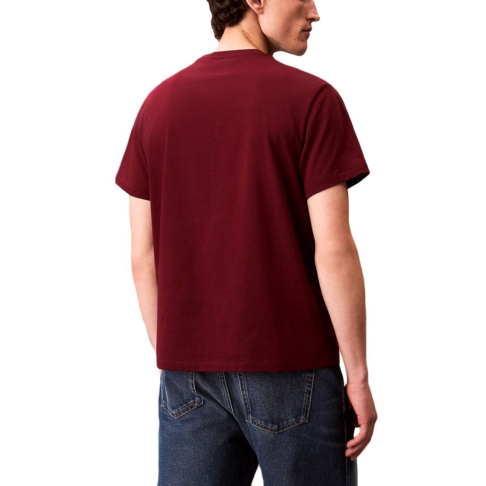 CALVIN KLEIN SS MONOGRAM 20S EASY TEE LV04RC275G 2