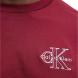 CALVIN KLEIN A- SS REL SEASONAL MONOLOGO TE LV04RC856G 3