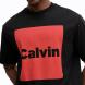 CALVIN KLEIN SS 16S IO CALVIN BOX GRAPHIC T LV04RD813G 3