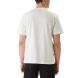 CALVIN KLEIN 20S MARCH GRAPHIC SEASONAL FAS LV04RF822G 2