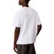 CALVIN KLEIN SS 16S AUG CALVIN KLN TRVL GRA LV04RG838G 2