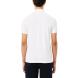 LACOSTE Πόλο PH5056 3