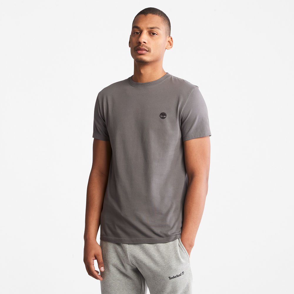 TIMBERLAND DUNSTAN RIVER SS Tee TB0A2BPR 2