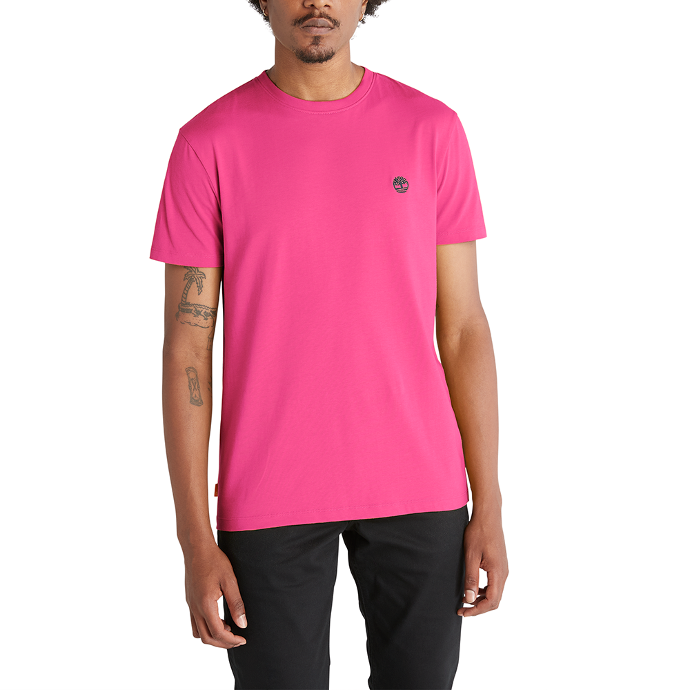 TIMBERLAND DUNSTAN RIVER SS Tee TB0A2BPR 1