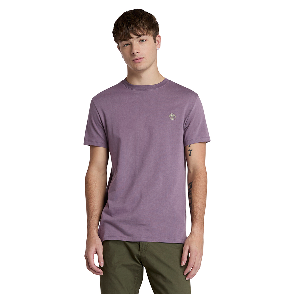 TIMBERLAND DUNSTAN RIVER SS Tee TB0A2BPR 1