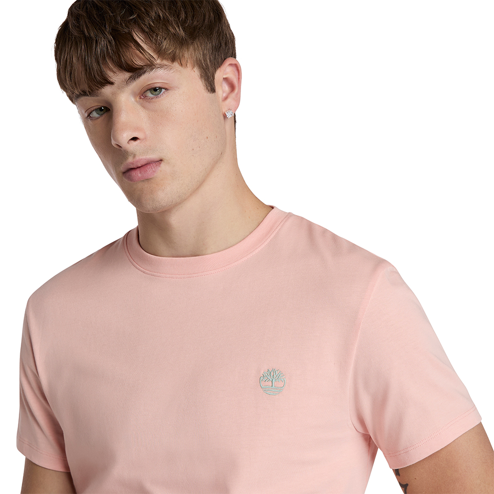 TIMBERLAND DUNSTAN RIVER SS Tee TB0A2BPR 2