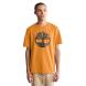 TIMBERLAND KENNEBEC RIVER Tree Lo TB0A2C2R 2
