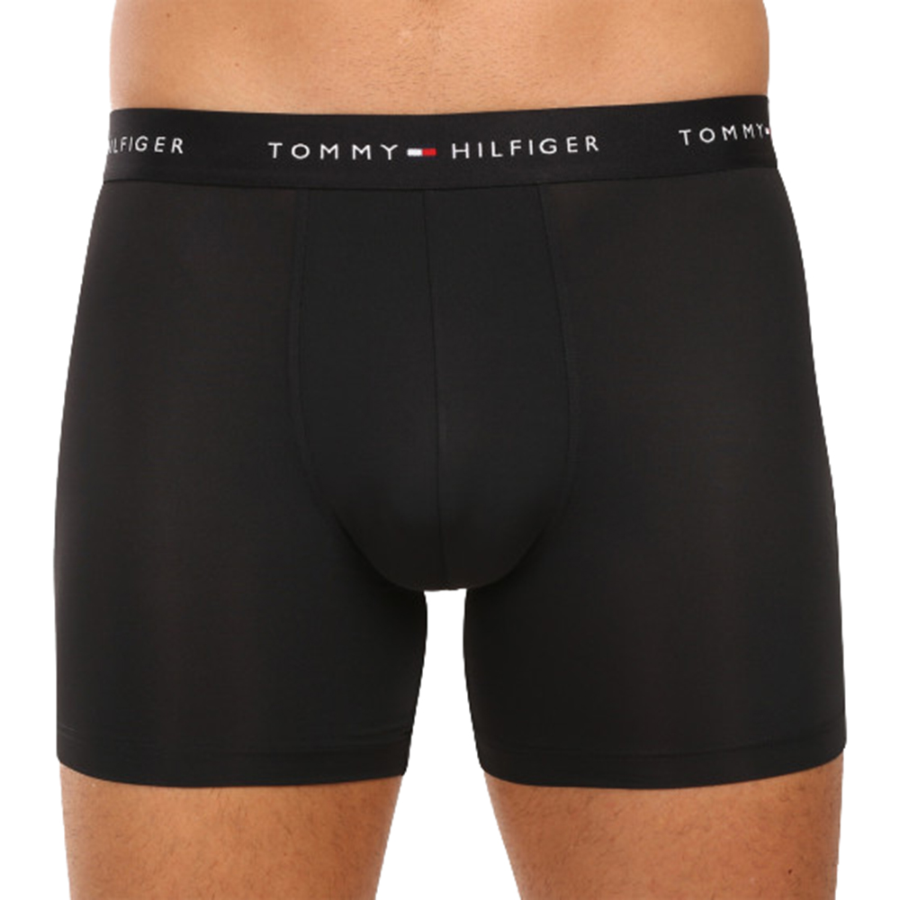 TOMMY HILFIGER 3P BOXER BRIEF DTM UM0UM03618 2
