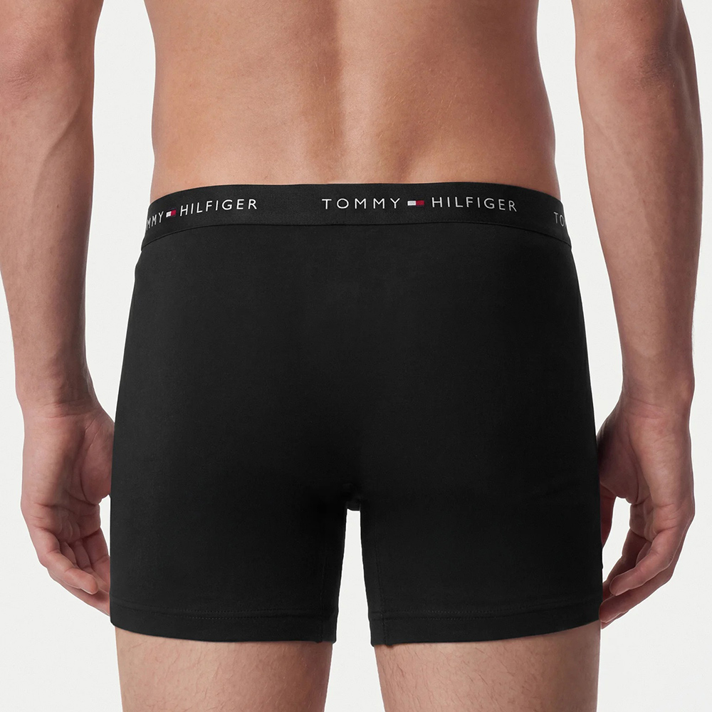 TOMMY HILFIGER 3P BOXER BRIEF DTM UM0UM03921 3