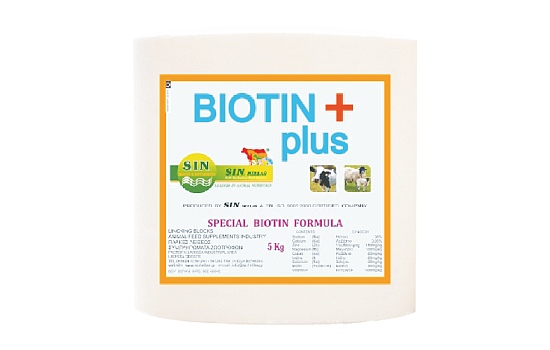 ΠΛΑΚΑ ΛΕΙΞΕΩΣ BIOTIN PLUS 5KG