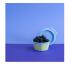 Δοχείο Φαγητού Nora Box Stripes Bowl 250ml 8164720 Koziol - 1