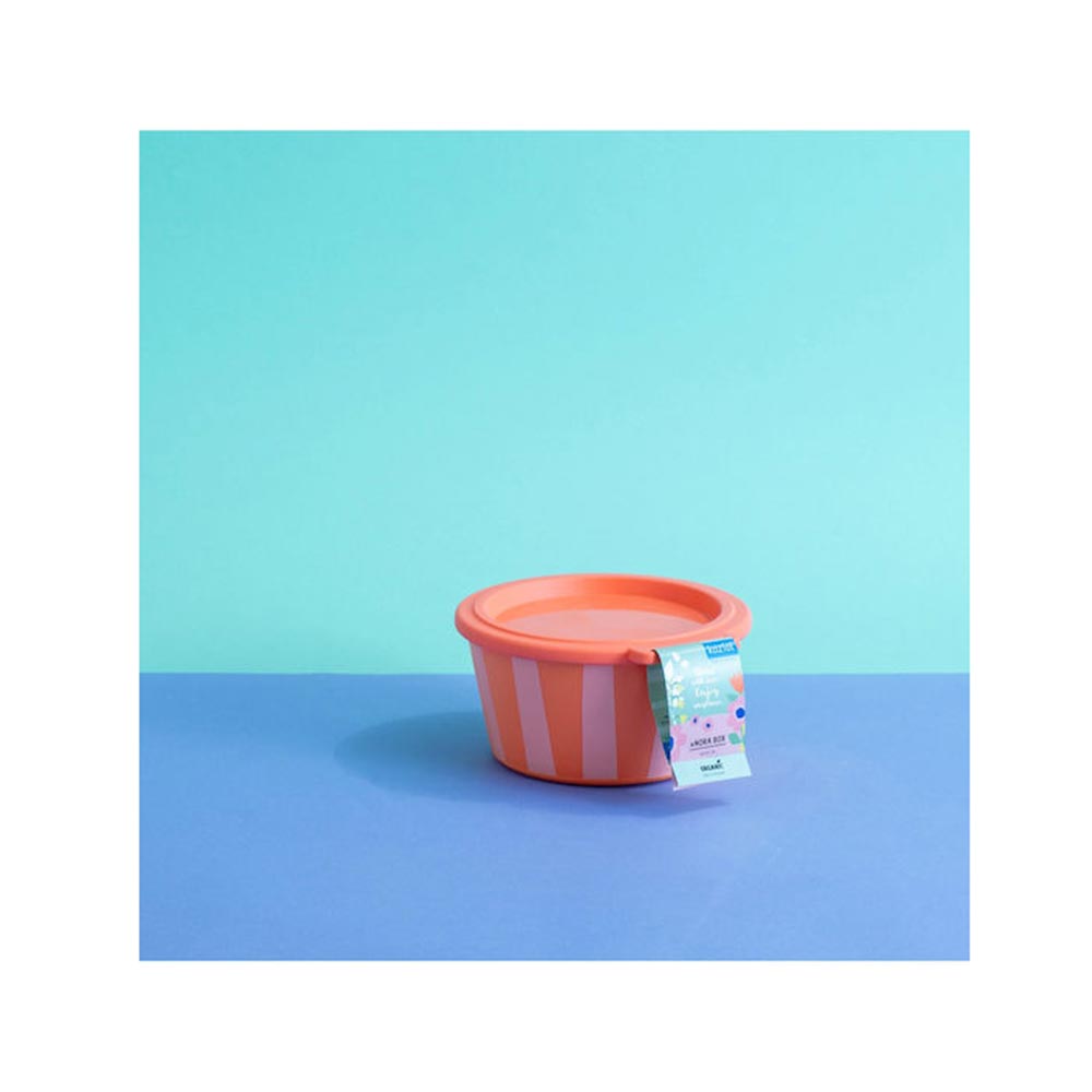 Δοχείο Φαγητού Nora Box Stripes Bowl 700ml Coral 8165725 Koziol - 1