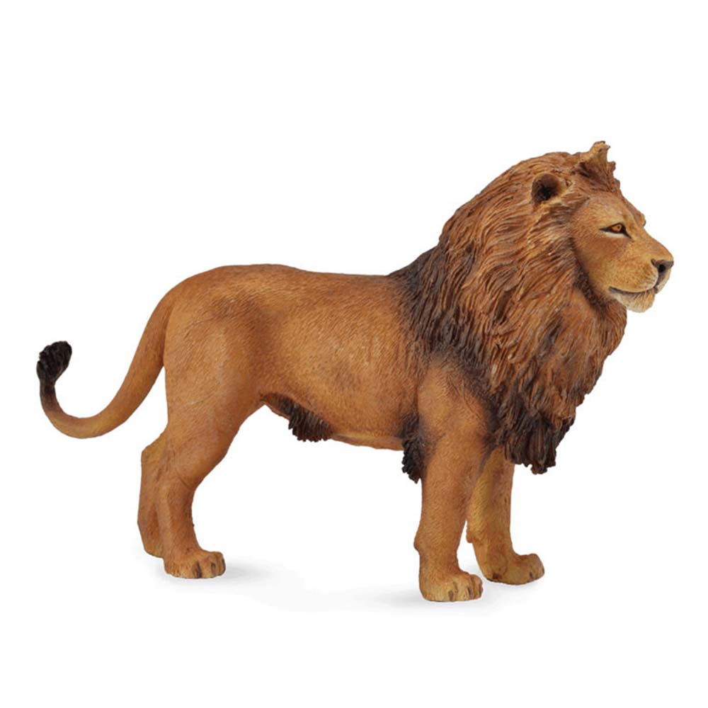 Αφρικανικό Λιοντάρι Large 88782 Collecta 