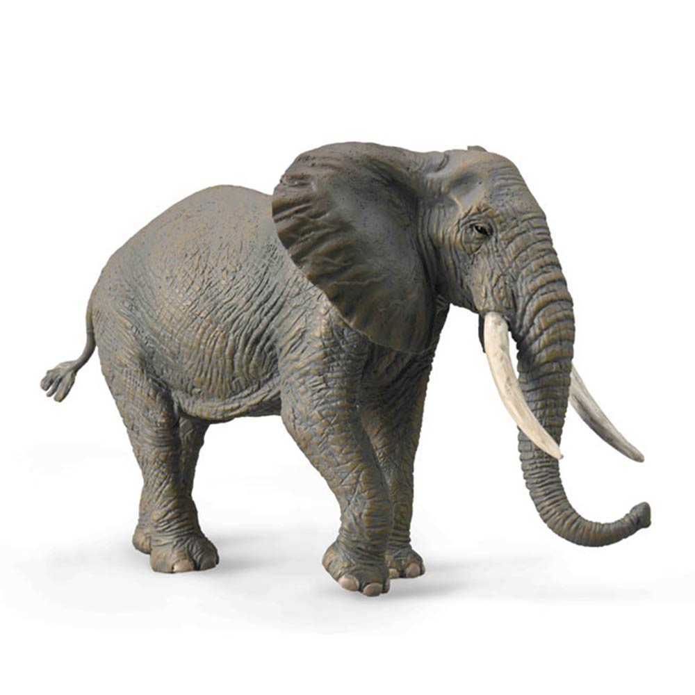 Αφρικανικός Ελέφαντας XLarge 88966 Collecta - 58942