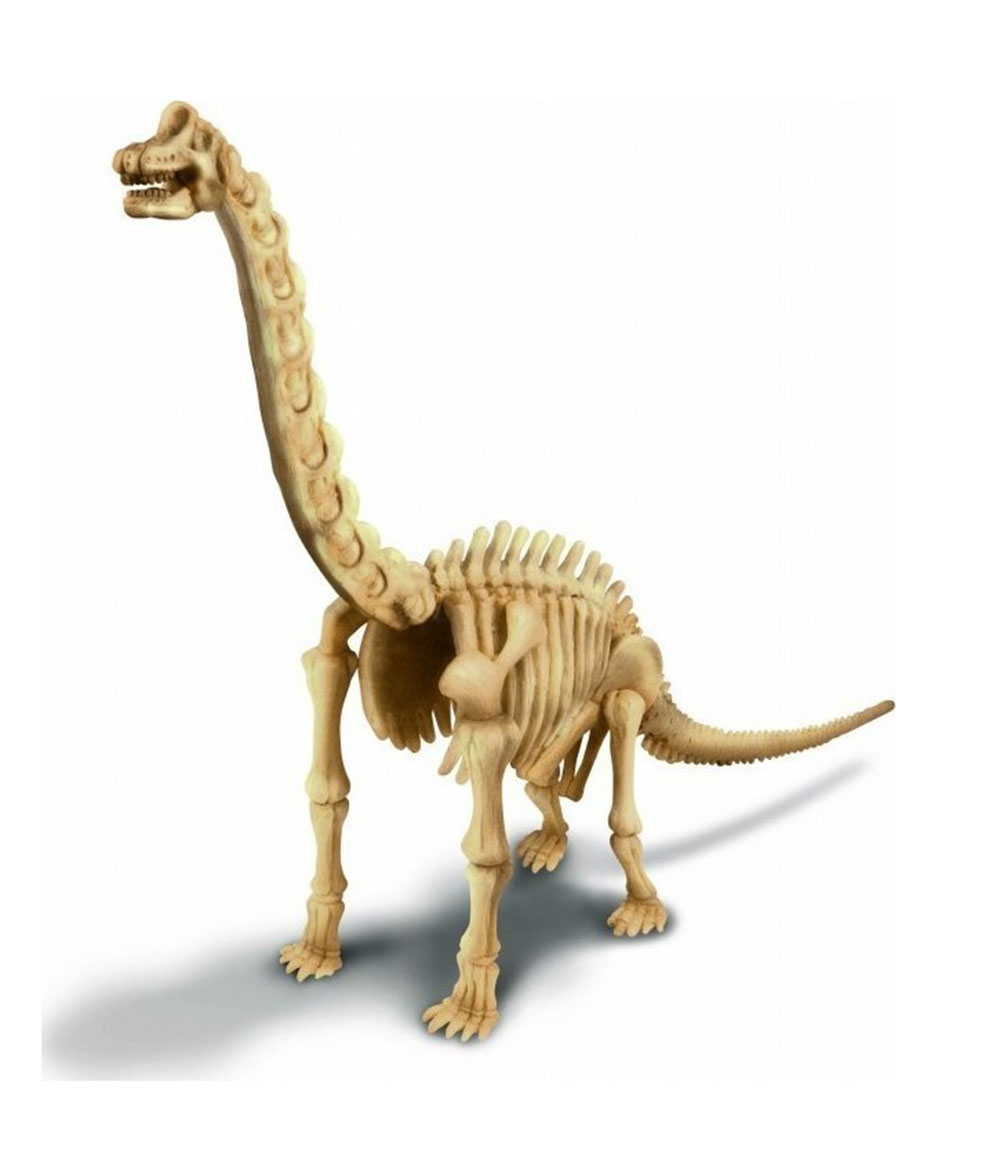 Εκπαιδευτικό Παιχνίδι Ανασκαφή - Βραχιόσαυρος 4M0008 4M - 1