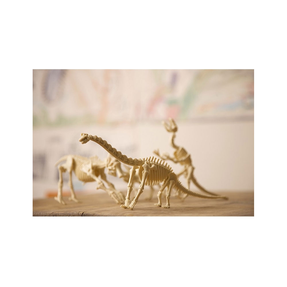 Εκπαιδευτικό Παιχνίδι Ανασκαφή - Βραχιόσαυρος 4M0008 4M - 4