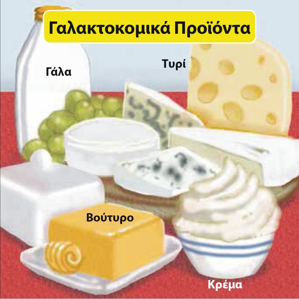 Brainbox Φάρμα 93047 - 2