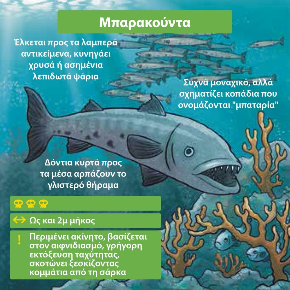 Brainbox Θηρευτές 93053 - 4