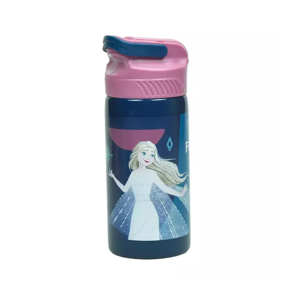 Ανοξείδωτο Παγούρι Με Καλαμάκι Frozen Discover 500ml 551-39245 Gim - 60468