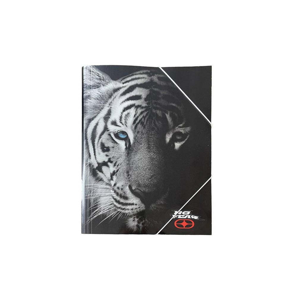 Φάκελος με Λάστιχο Α4 Dark Tiger 348-25510 No Fear - 100192