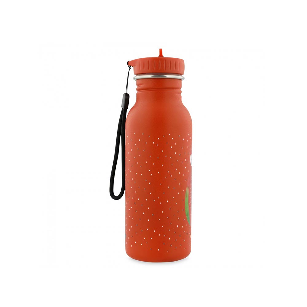 Παγούρι Ανοξείδωτο Mr. Parrot 500ml 77956 Trixie - 1