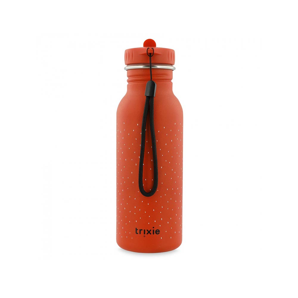 Παγούρι Ανοξείδωτο Mr. Parrot 500ml 77956 Trixie - 2
