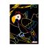 Scratch Book 4 Magic Birds 60799 Avenir - 2